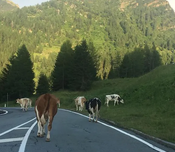 Schiappartement Nassfeld